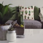 Les styles d’agencement intérieur : du minimalisme au maximalisme