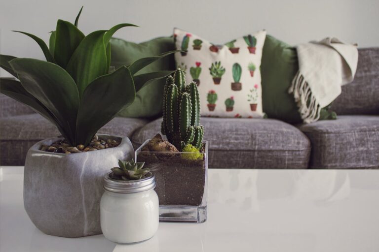 Les styles d’agencement intérieur : du minimalisme au maximalisme