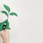 Objets écologiques : quel intérêt pour votre stratégie de communication ?
