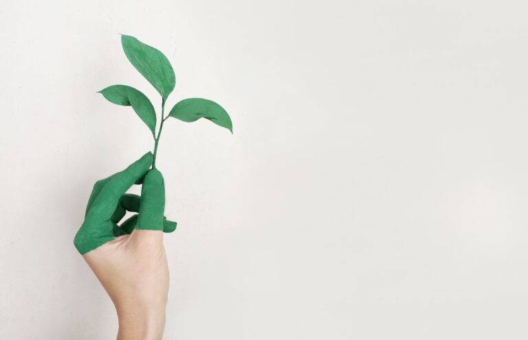 Objets écologiques : quel intérêt pour votre stratégie de communication ?