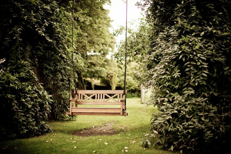 Idées d’activités à faire en famille dans son jardin toute l’année