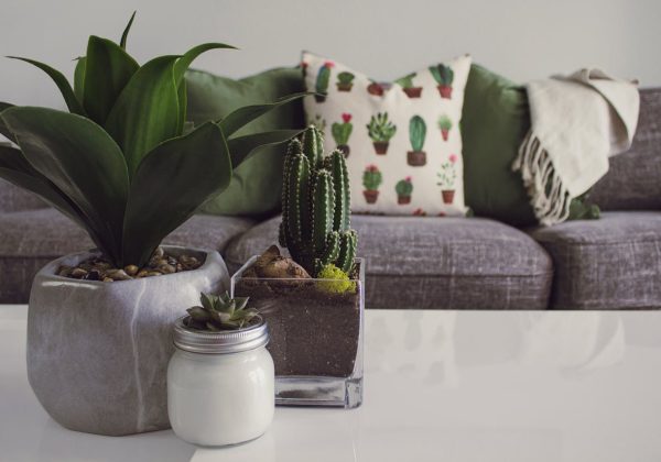 Les styles d’agencement intérieur : du minimalisme au maximalisme