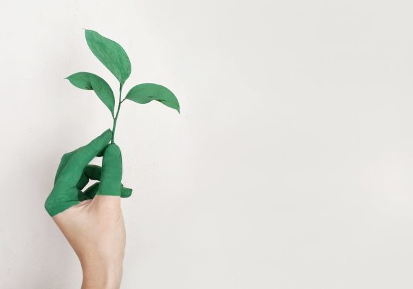Objets écologiques : quel intérêt pour votre stratégie de communication ?